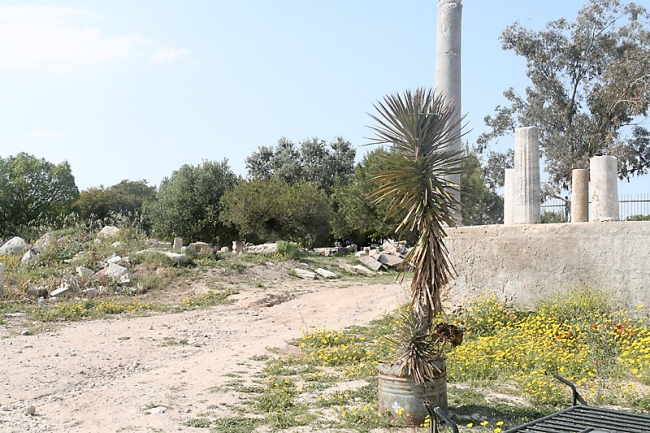 Tunis, Carthage-176